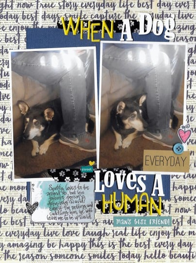 When a Dog Loves a Human (PL Week 4 Insert/Front)