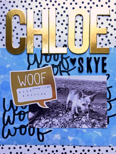 Chloe Skye Pup