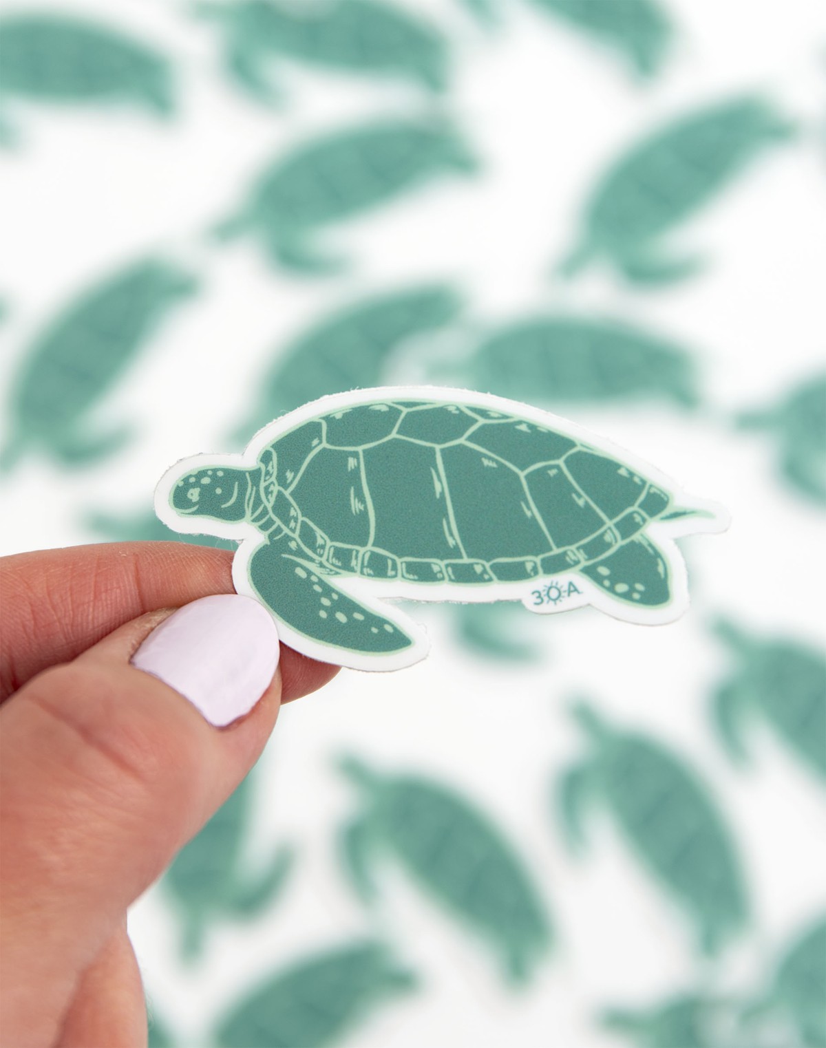 Turtle Decal Sticker item