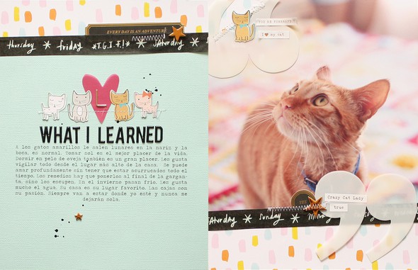 What I Learned by cariilup gallery