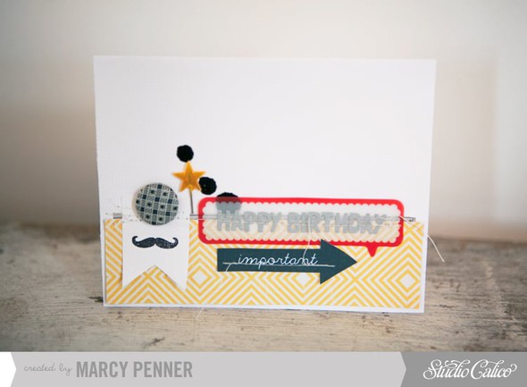 Happy Birthday Card by marcypenner gallery