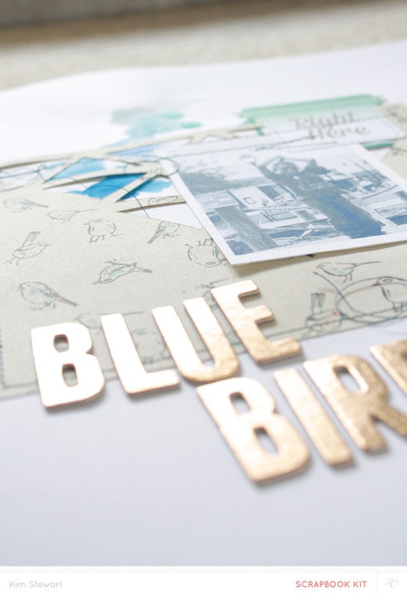 Bluebird by neroliskye gallery