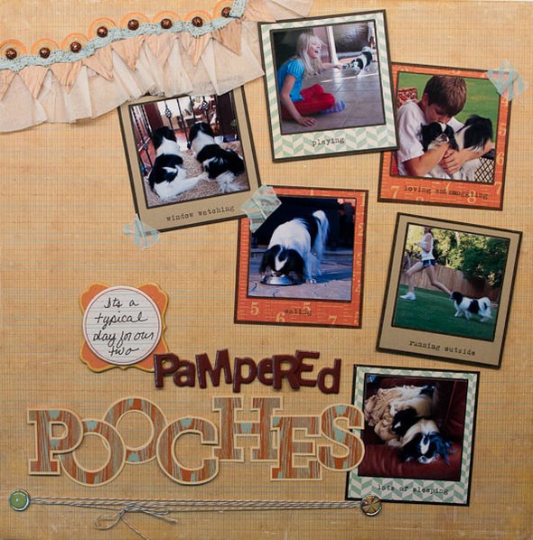 Pampered Pooches by dpayne gallery
