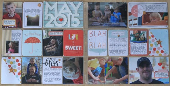 Project Life 2015 ~ May  by dctuckwell gallery