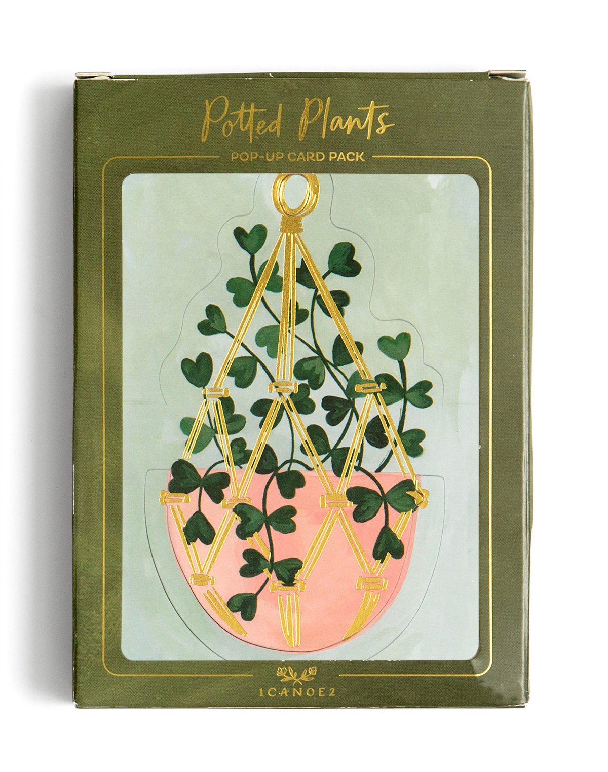 Potted Plants Pop-Up Greeting Card Box Set item