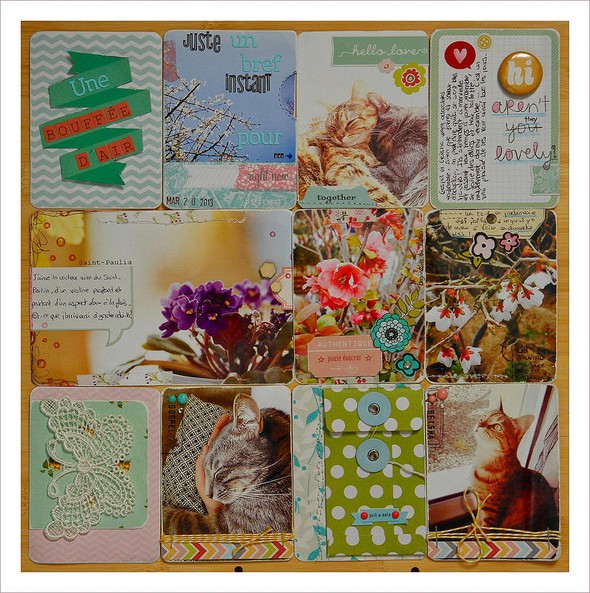 Project Life - Week 11 and 12 - Double layout by eralize gallery