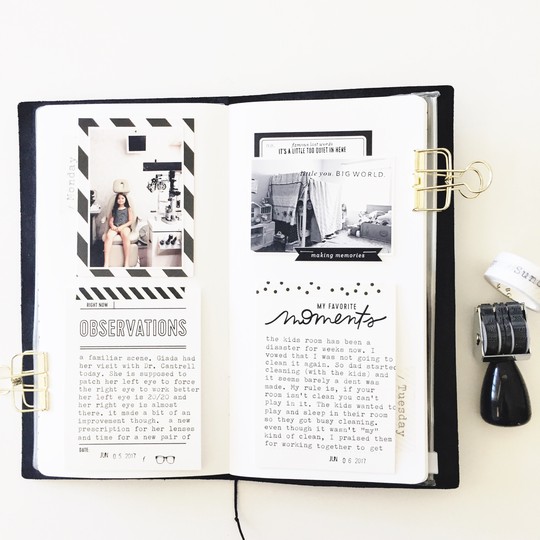 June Travelers Notebook 