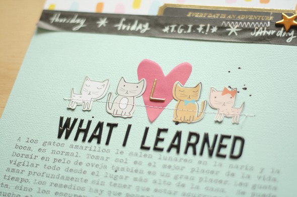What I Learned by cariilup gallery