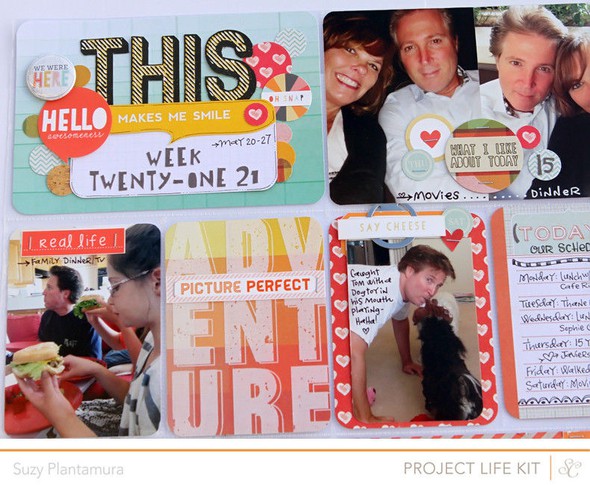 Project Life Week 21 (PL KIT ONLY) by suzyplant gallery