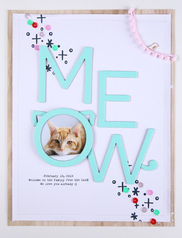 Meow by PamBaldwin gallery