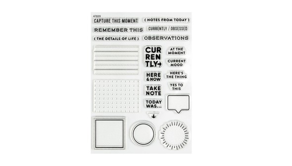 Stamp Set : 6x8 Observations by Everyday Explorers Co gallery