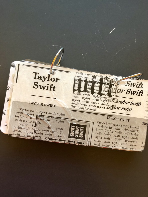 Taylor Swift Reputation Tour Mini Album by bmarten gallery
