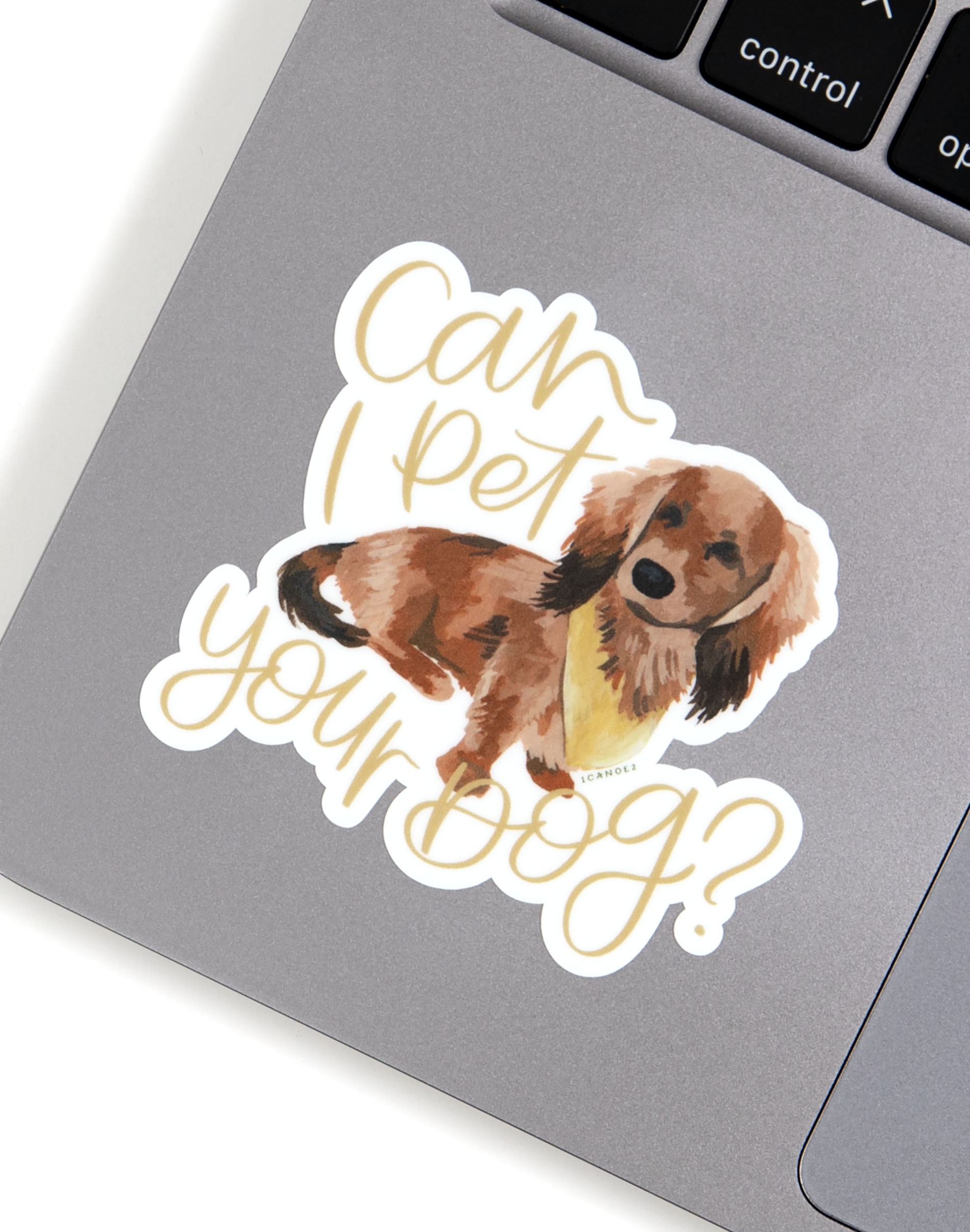 Can I Pet Your Dog? Decal Sticker - 1canoe2
