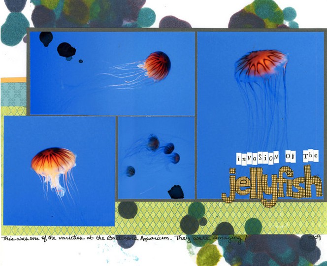 Invasion of the jellyfish s