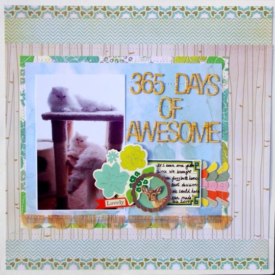 365 Days of Awesome!