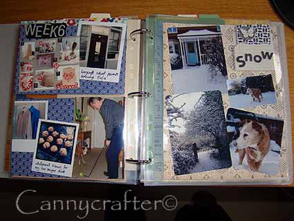 Week 6 Project Life by cannycrafter gallery