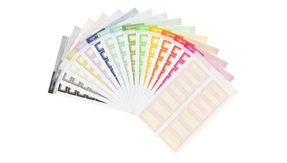 Color Theory Scalloped Border Label Stickers Rainbow Bundle gallery