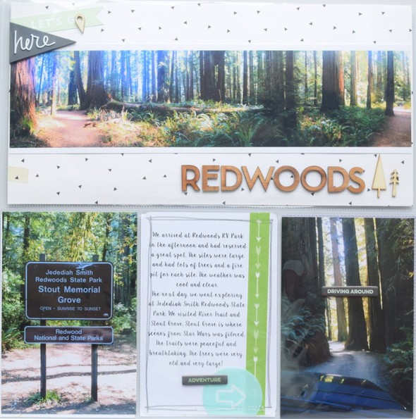 Redwoods by Glynda gallery