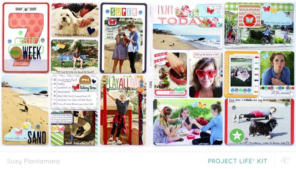 Project Life Week 7 2014 (PL Kit Only) by suzyplant gallery
