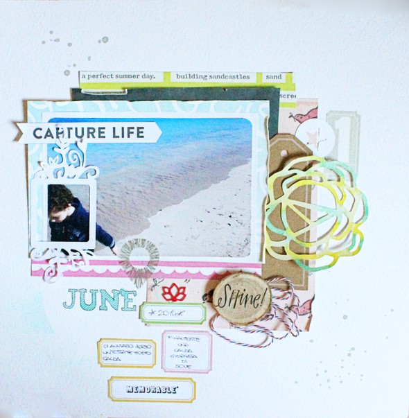 Capture life by rossana gallery