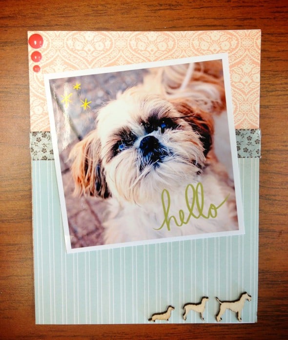 Hello - Photo Cards by brab1974 gallery