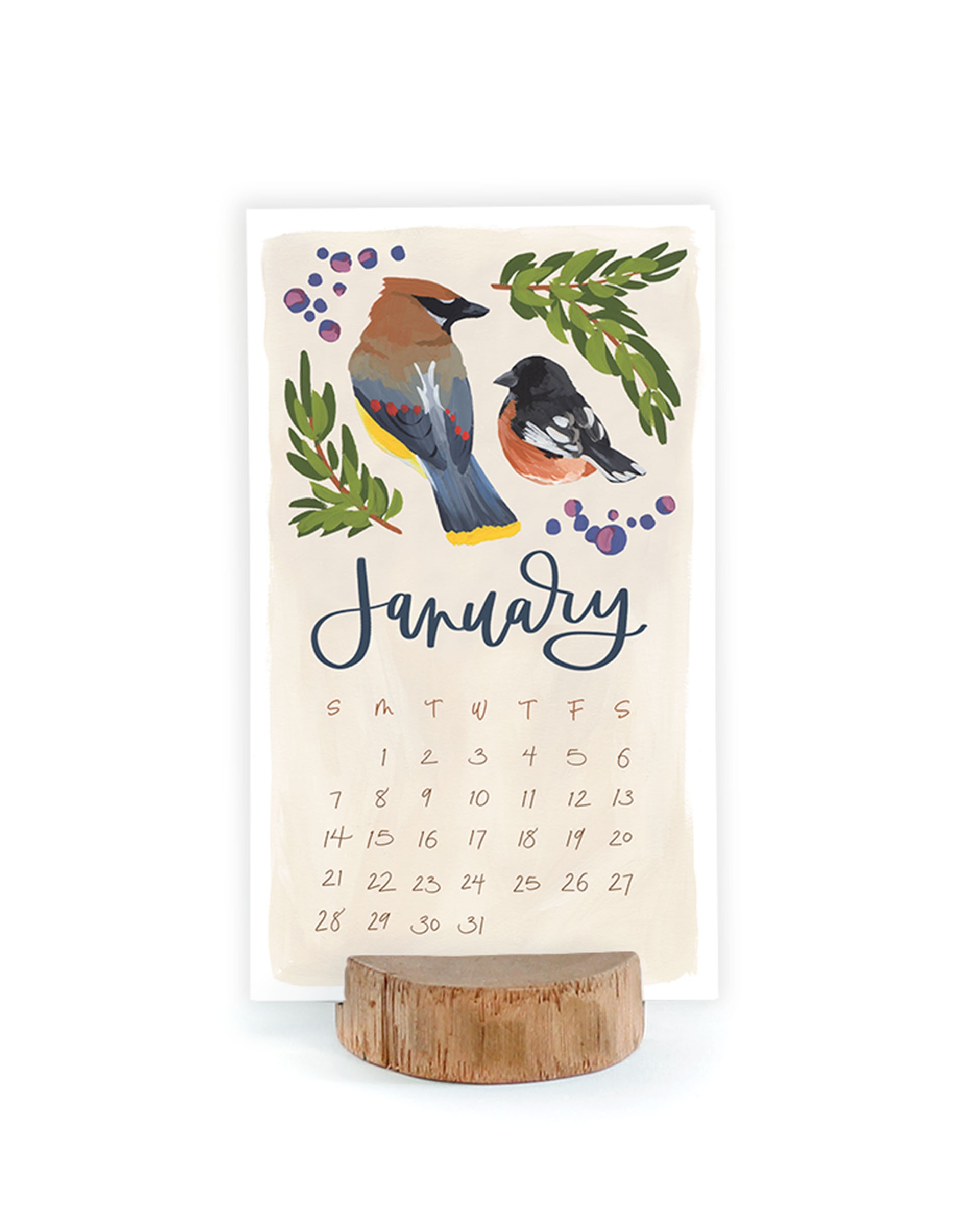 Feathered Friends 2024 Wall Calendar: Watercolor Bird