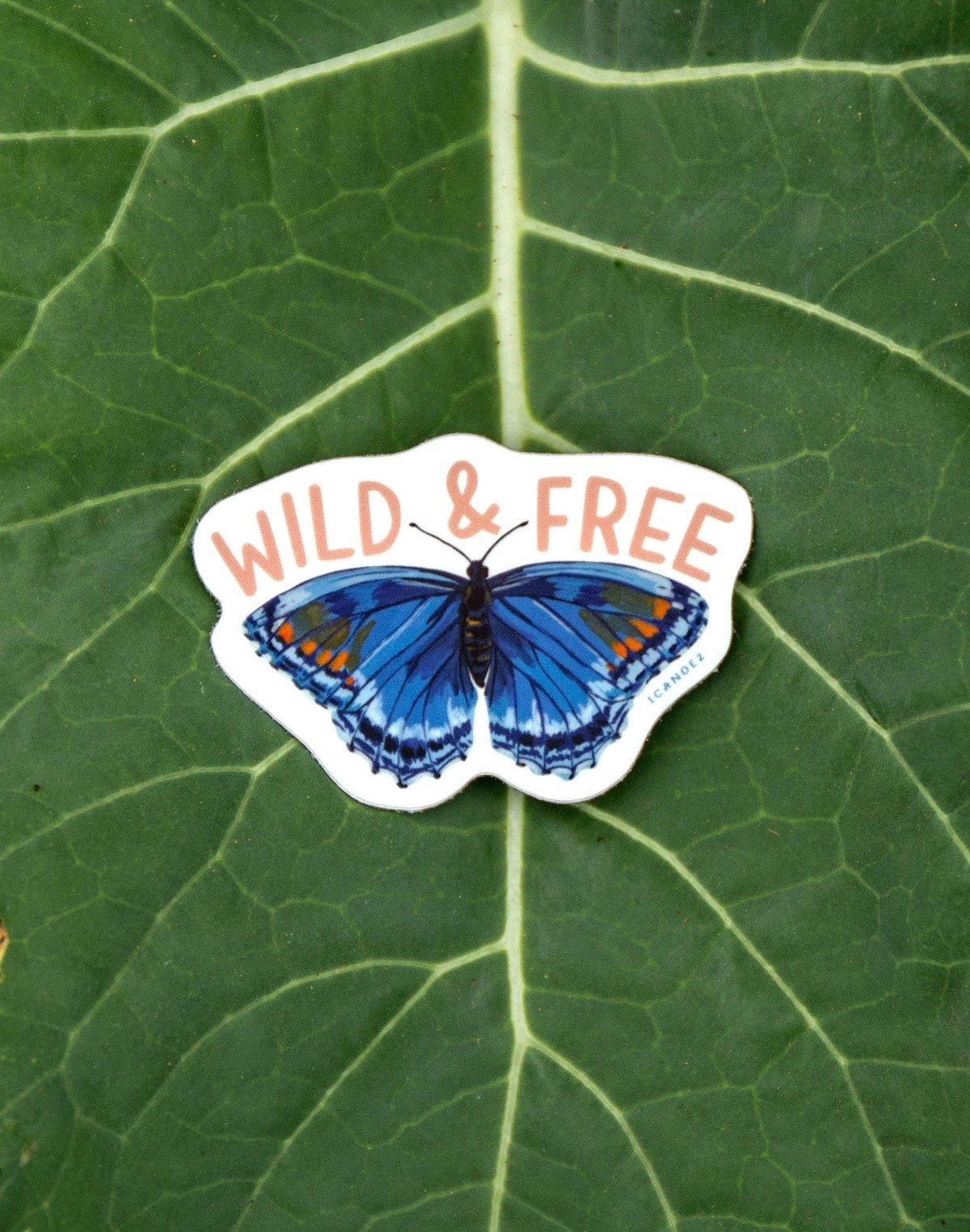 Wild & Free Butterfly Decal Sticker item