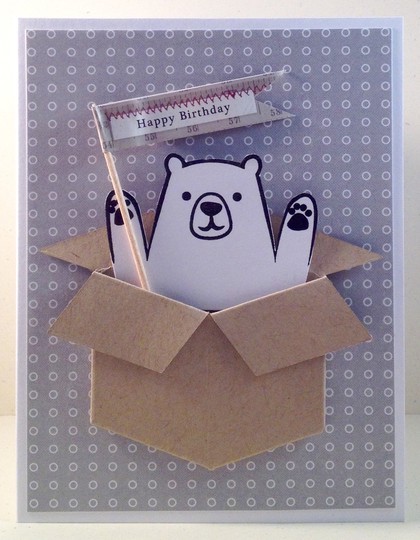 Bear in Box