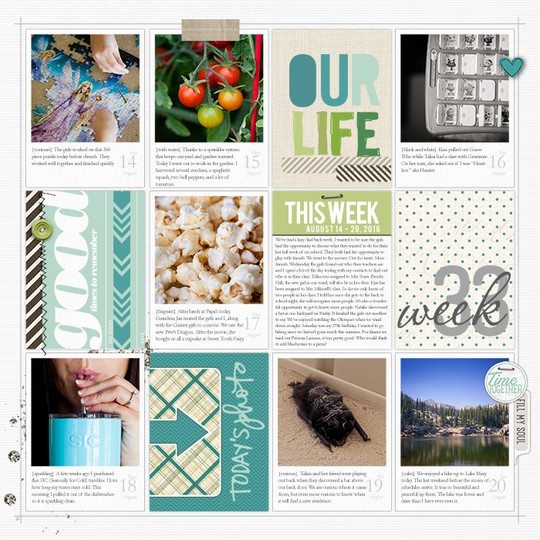  Project Life 2016: Week 33