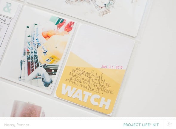 Project Life January (main only) by marcypenner gallery