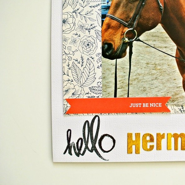 Herman.  by melissamarie gallery