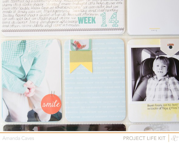 Project Life Week 14 (Main Kit Only) by itsmeamanda gallery