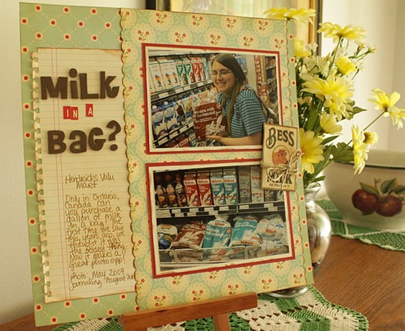 Milk in a Bag by JenniferSanborn gallery