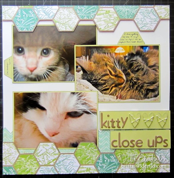 Kitty Close Ups by BritSwiderski gallery