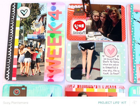 Project  Life Week 4 2014 by suzyplant gallery