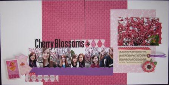 Cherry Blossoms 2011 by GAmes56 gallery