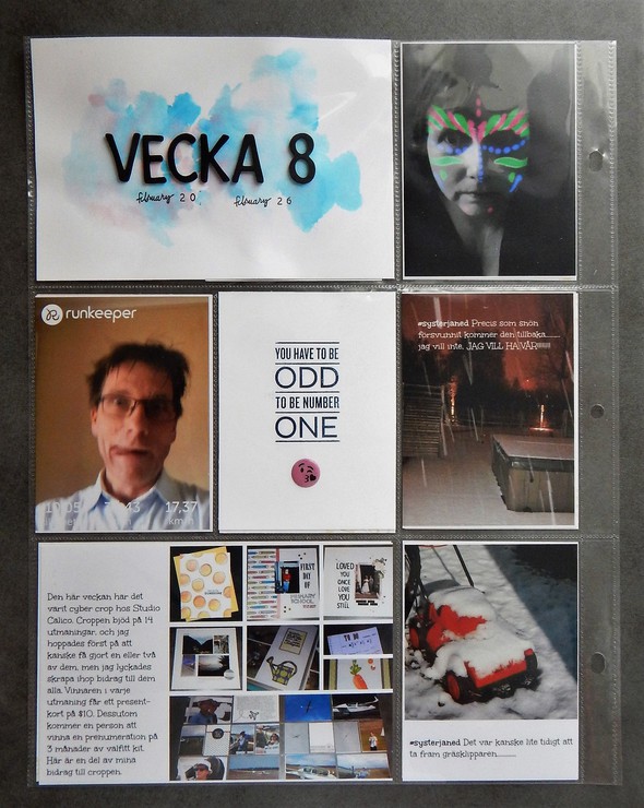 Vecka 8 by JaneD gallery