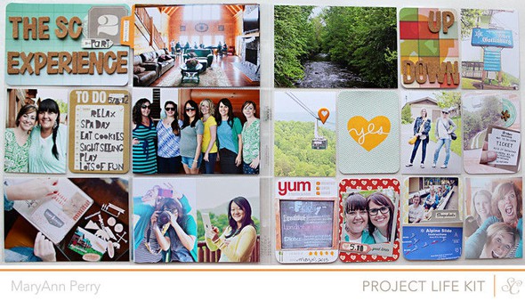 Project Life | The SC Experience by MaryAnnPerry gallery