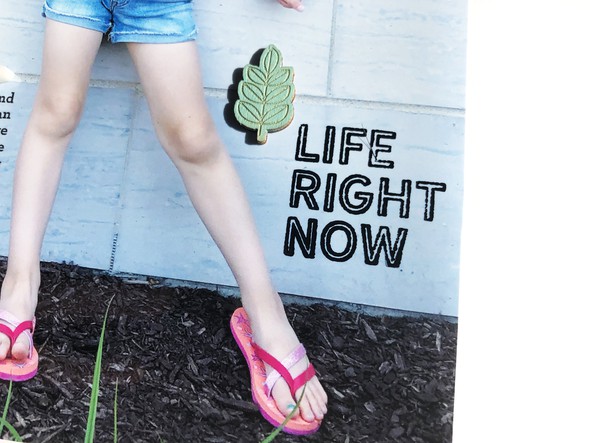 Life Right Now gallery