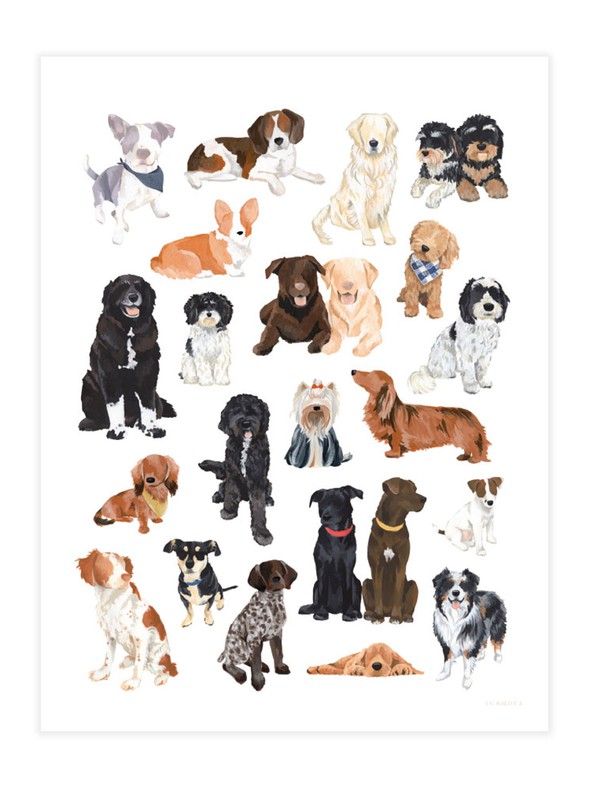 200446 pup poster print slider original