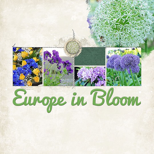 Europe in Bloom (r)