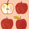Apple Tree Tee - Peachy Pink