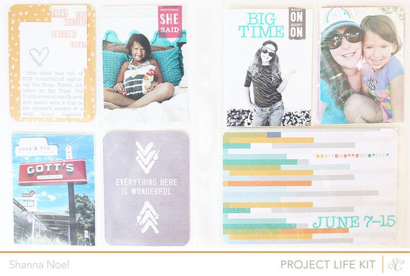 Project Life Week 25 *MAIN KIT ONLY* by ShannaNoel gallery