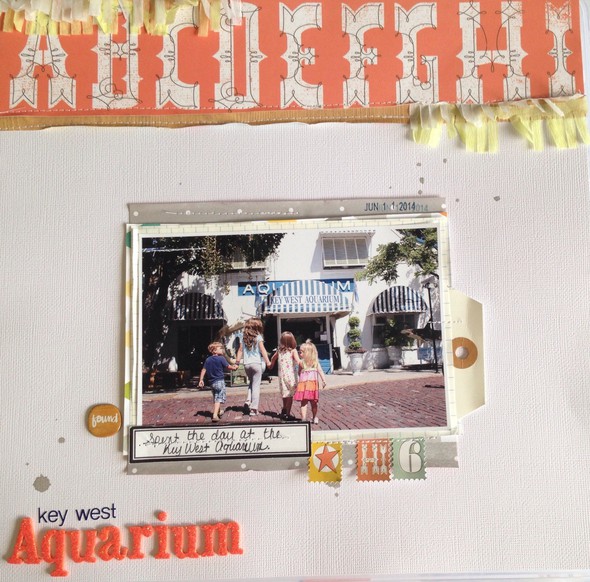 Key West Aquarium by andreahoneyfire gallery