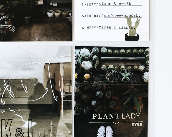 week plant purchase  by crafty_kari gallery