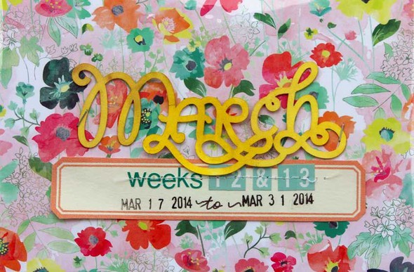 Project Life 2014: Weeks 11 & 12 by supertoni gallery
