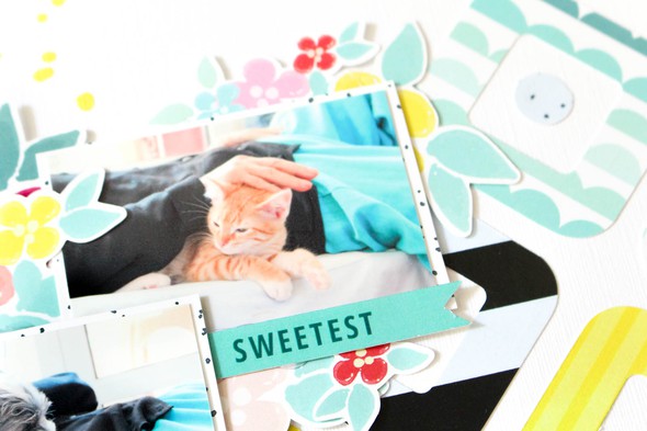 Sweetest by zinia gallery
