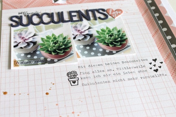 Succulents by EvelynLaFleur gallery