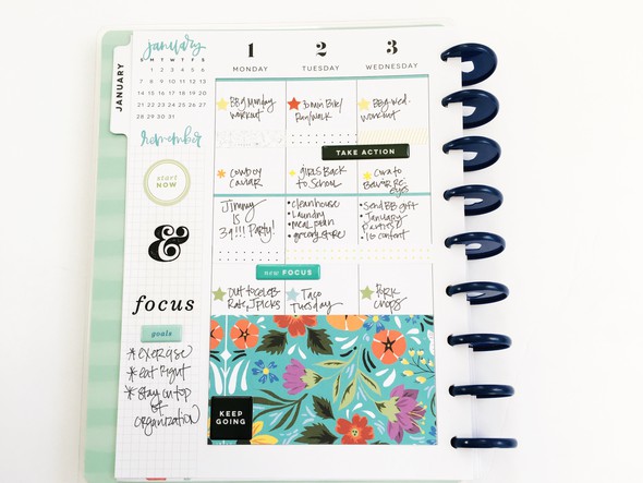 January Weekly Spread in Happy Planner Classic (Vertical) by stephanie_howell gallery