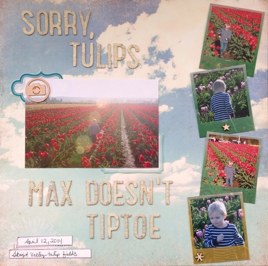 Sorry Tulips